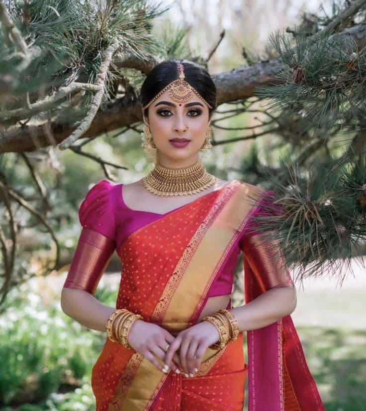 Full Border Blouse Designs