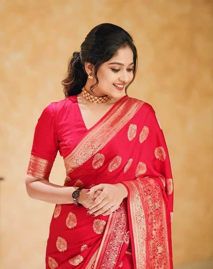 Border Blouse Design