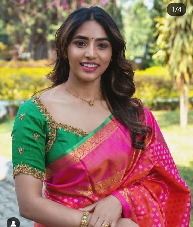Embroidered Brocade Blouse Designs