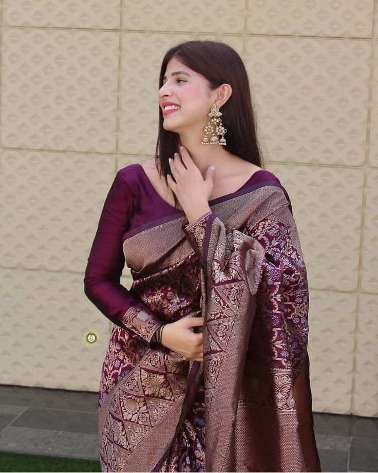 modern full sleeve blouse designs for silk sarees