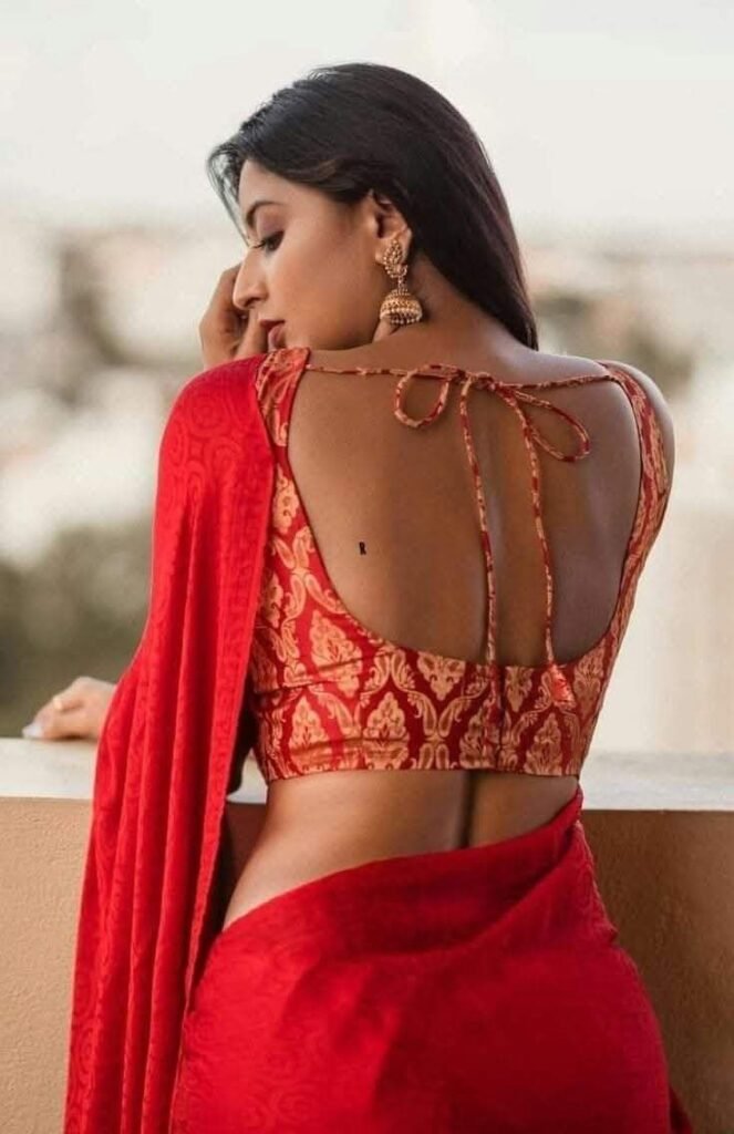 Blouse Back Design Images Simple