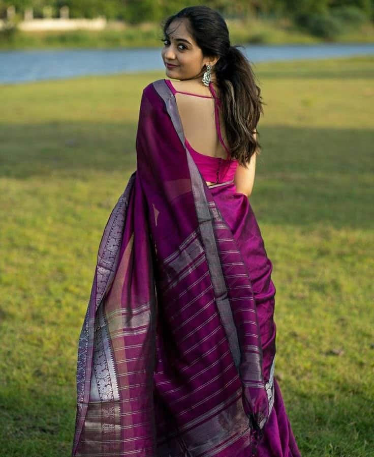 Blouse Back Design Images Simple