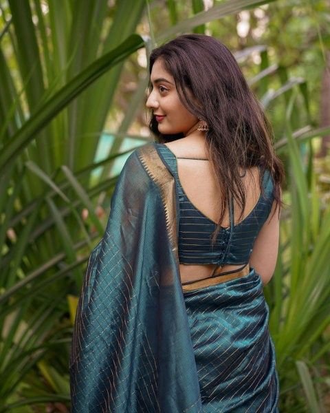 Back Hook Blouse Designs for Sarees
