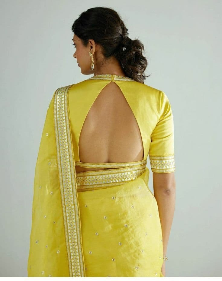 Inspiration from Back Hook Blouse Design Photos