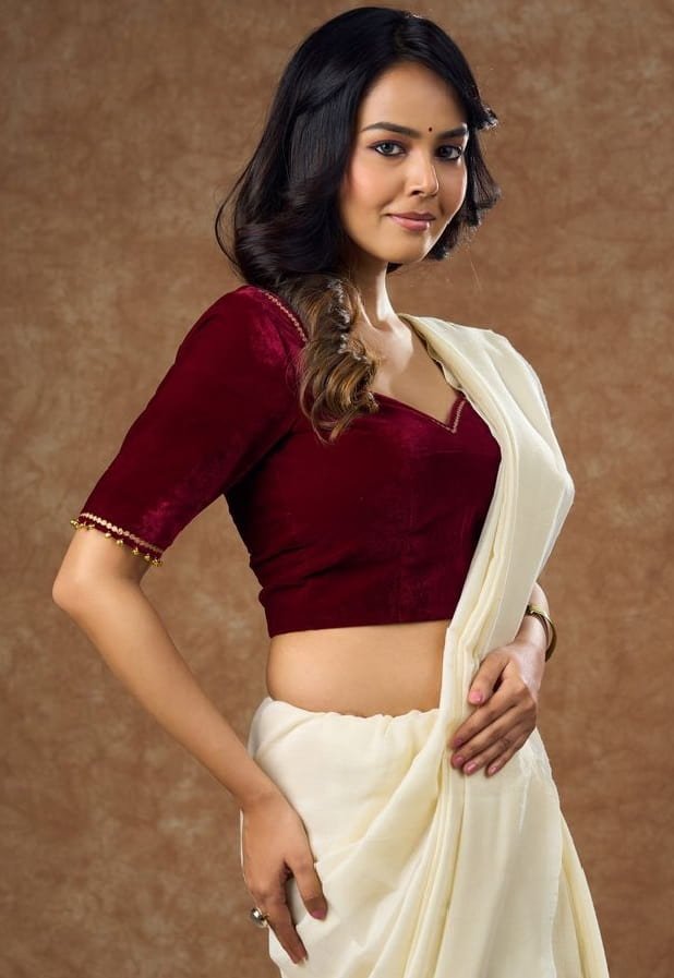 Maroon Velvet Blouse