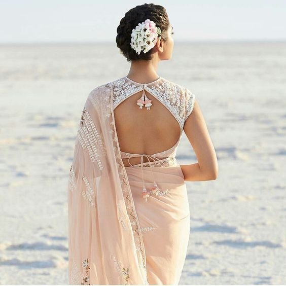 Net Backless Blouse Design