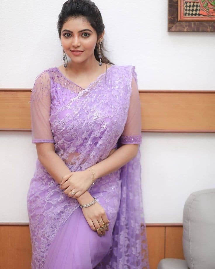 Simple Net Blouse Back Design