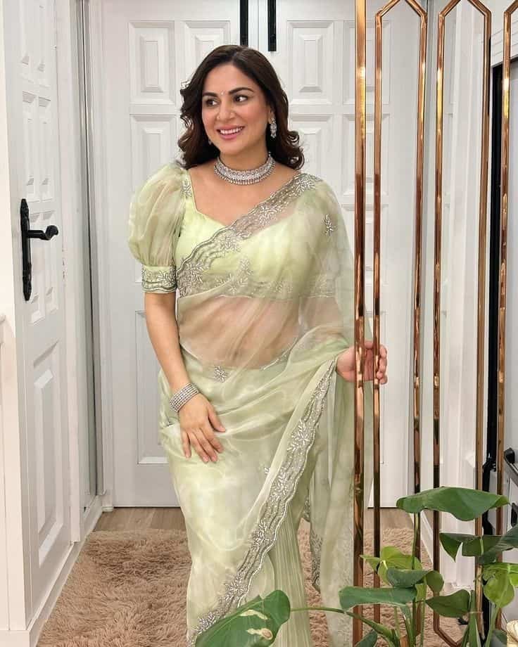 Stylish Net Blouse Back Design