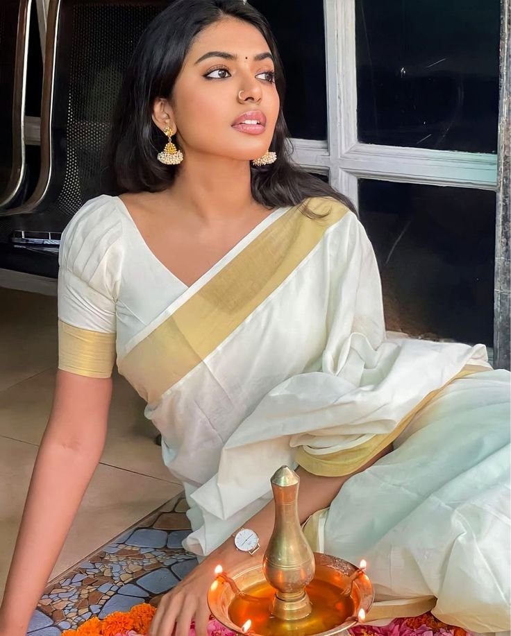 Traditional Handloom Blouse