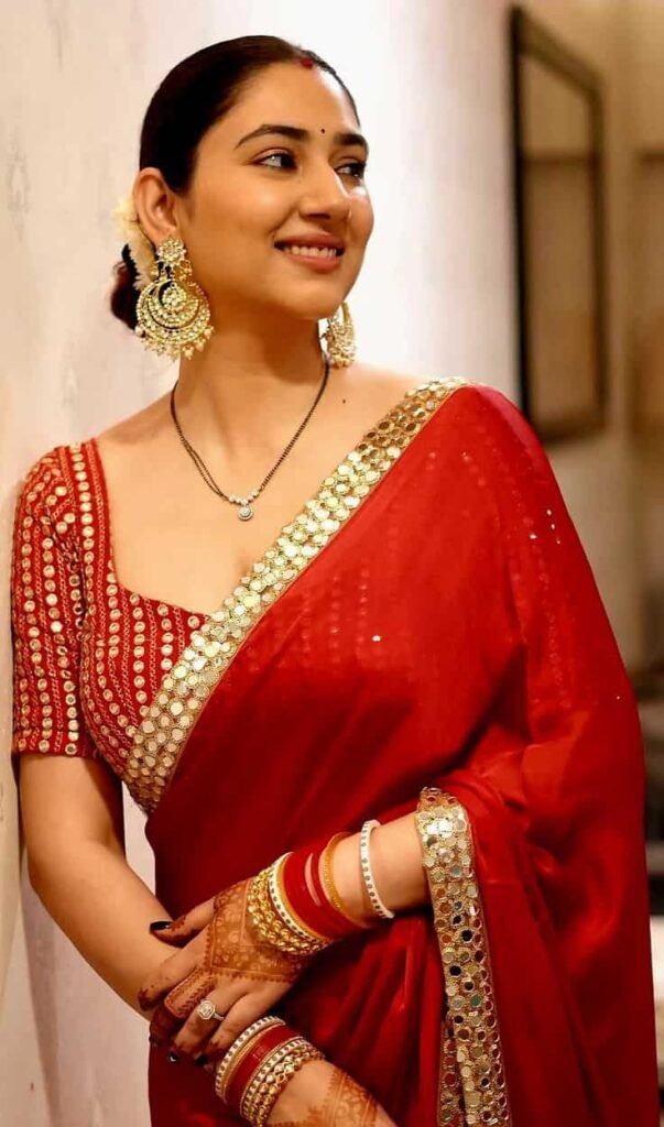 Mirror Work Blouse Design