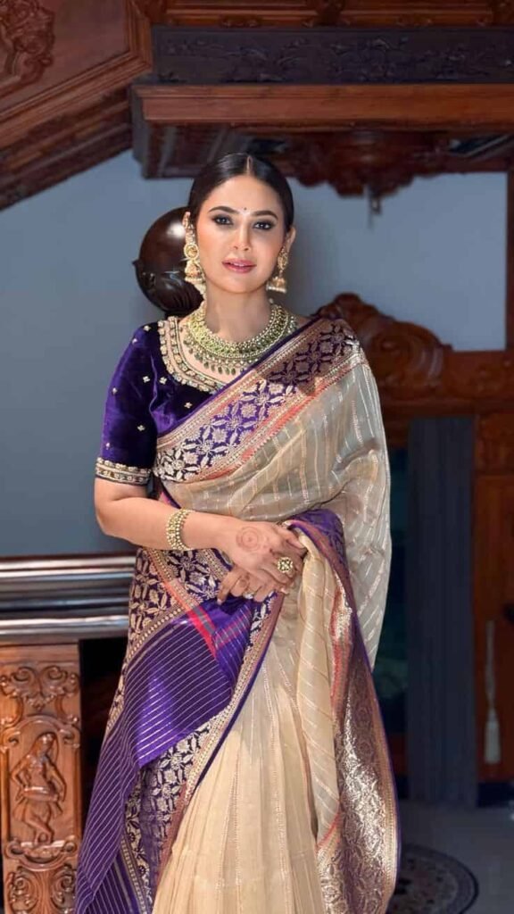 Aari Work Velvet Blouse Design