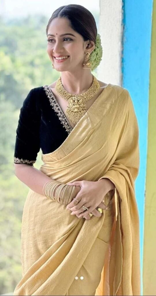 V Neck Velvet Blouse Design