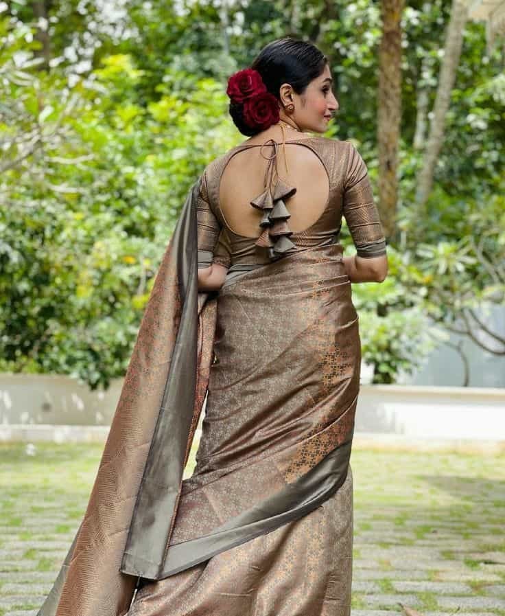 Back Modern Banarasi Saree Blouse Design