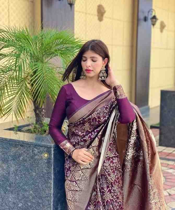Full Sleeve Blouse Design for Saree