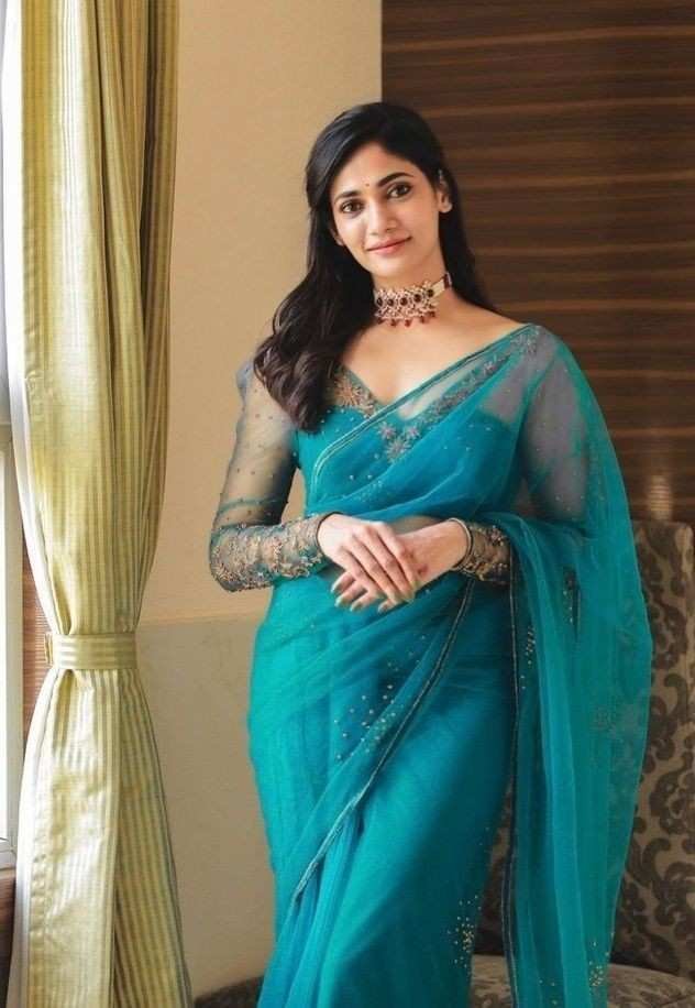 Net Long Sleeve Blouse Design