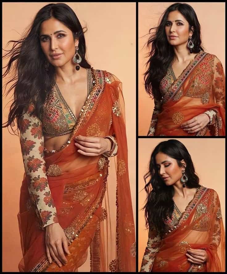 sabyasachi blouse design back
